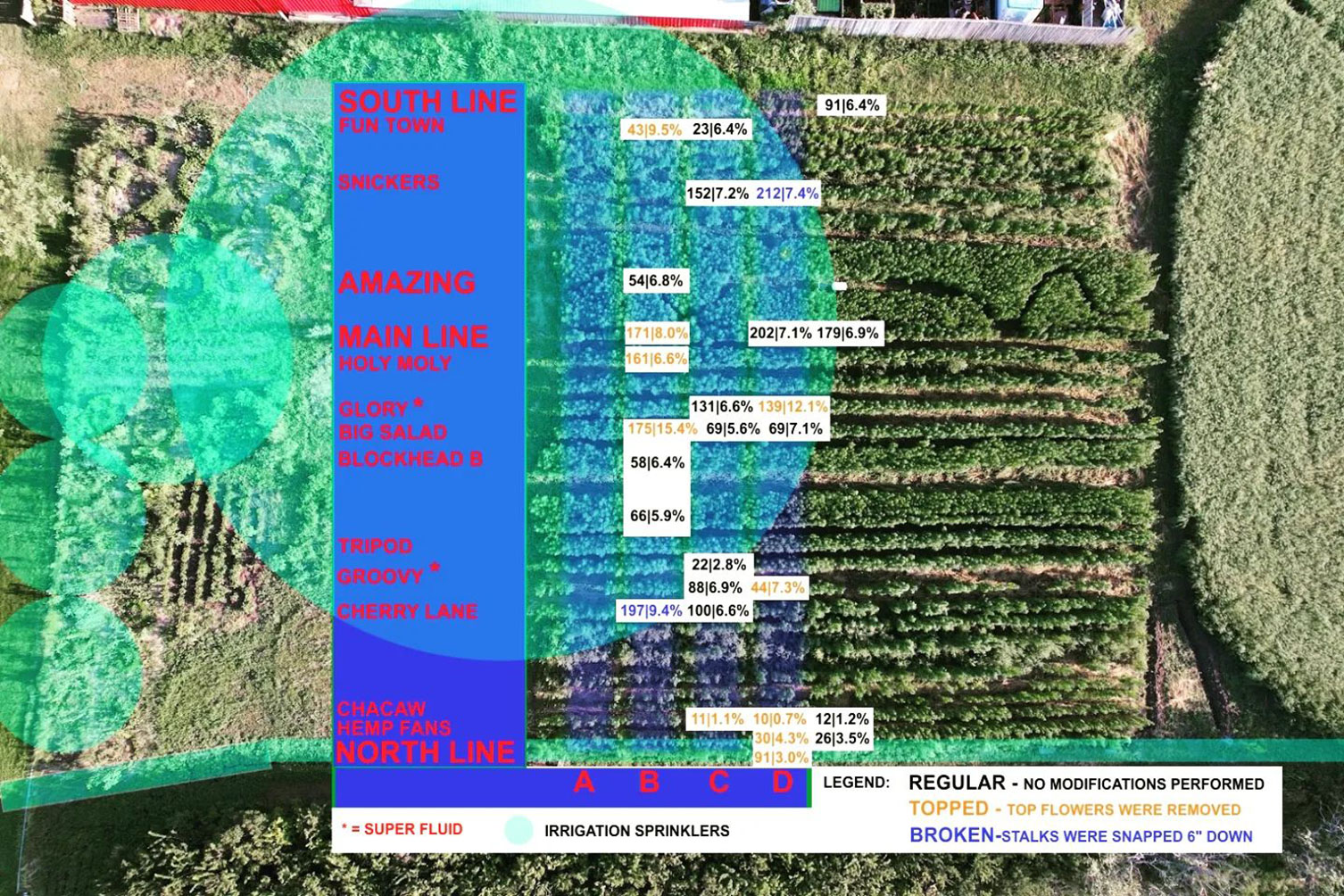 Hemp Tests at Conjunction Gardens