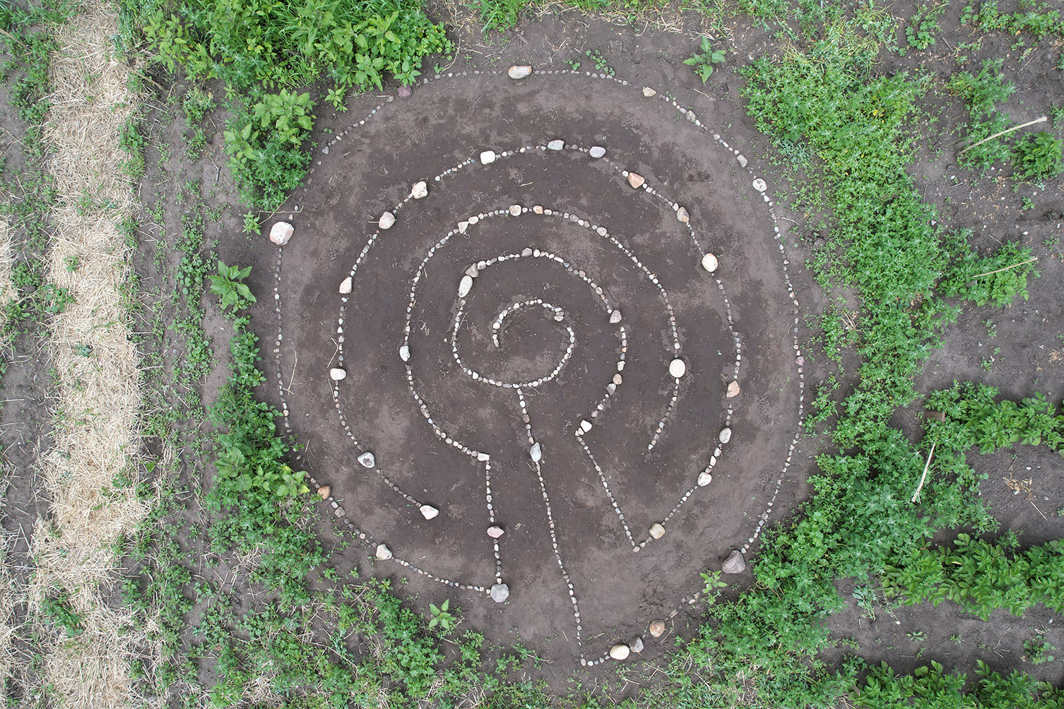 Labyrinth over septic at Conjunction Gardens