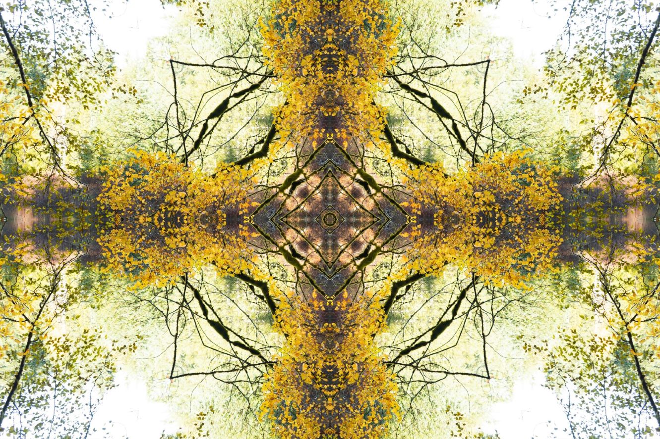 Kaleidoscopic Picture