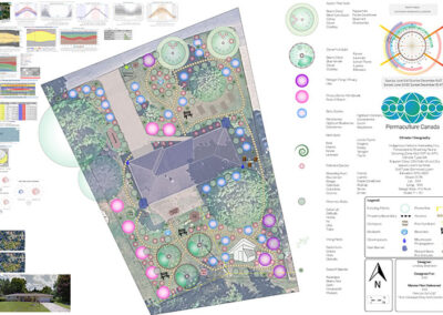 1/4 Acre Urban Food Forest Design – Adrian Michigan