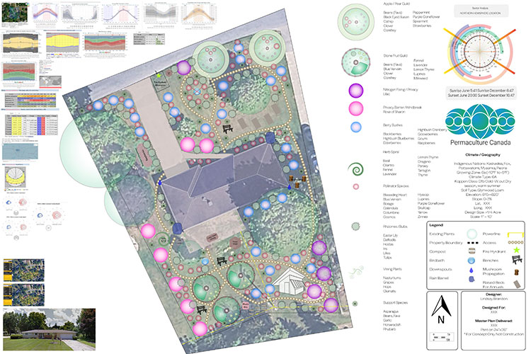1/4 Acre Urban Food Forest Design – Adrian Michigan