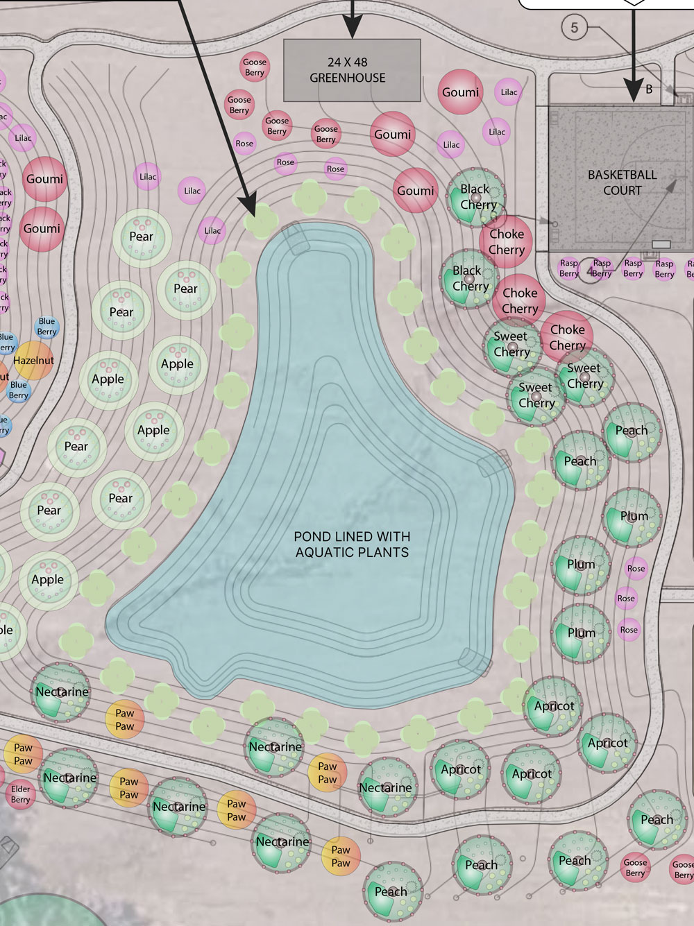 Pond-design